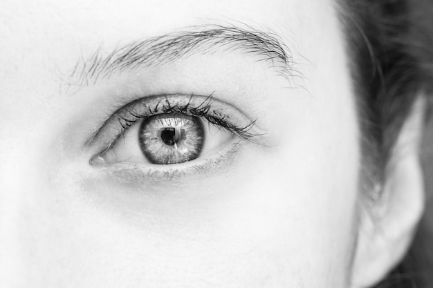 華やかで魅力的な目の女性の目のマクロビューのクローズアップの詳細