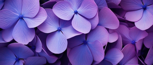 Closeup of dewkissed purple flowers capturing the delicate beauty of nature in full bloom AI Generative