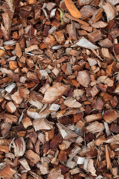 closeup to dried brown coconut coir husk background for plant growing
