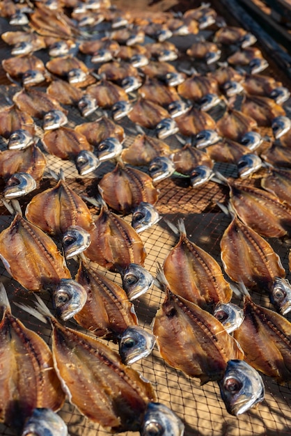 Closeup of dried fish on Nazare beach in Portugal - selective focus.