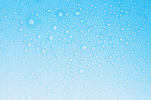Closeup drops water on blue background