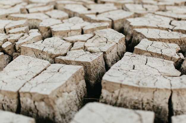 Closeup of dry lake ground.