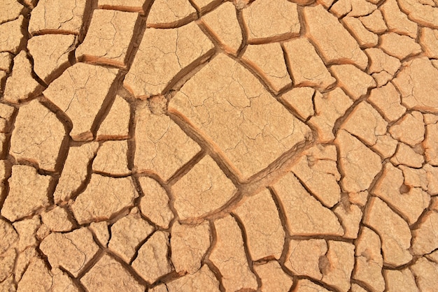 Closeup of dry land