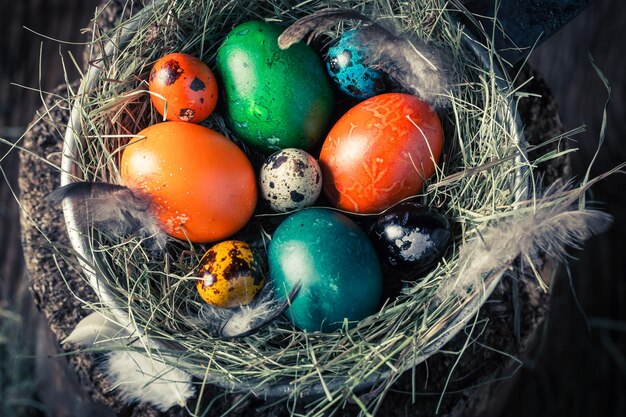 Closeup of Easter eggs with hay and feathers