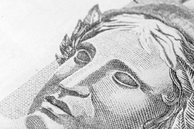 Closeup of Effigy of the Republic detail of Brazilian banknote