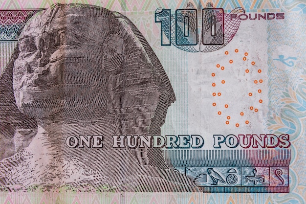 Closeup of egyptian one hundred pounds banknote