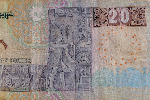 Closeup of the egyptian twenty pounds banknote