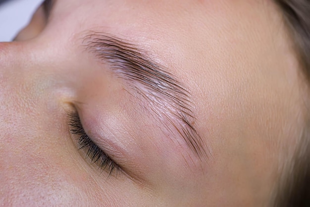 Closeup of eyebrow hairs styled and combed with laminating compositions