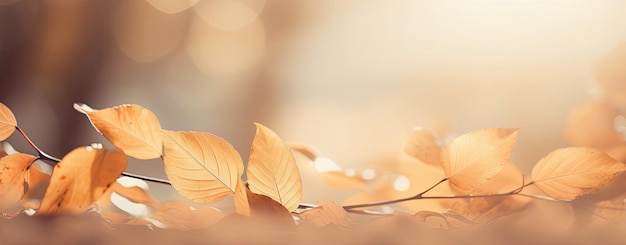 CloseUp of Fallen Leaves on the Ground