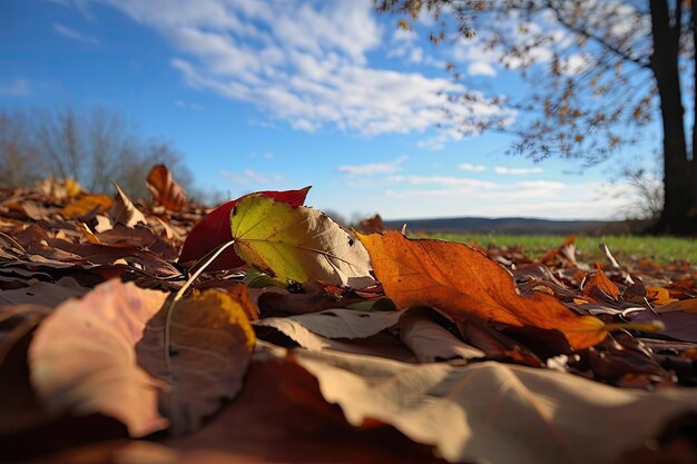 Closeup of fallen leaves with a view of the sky in the background created with generative ai