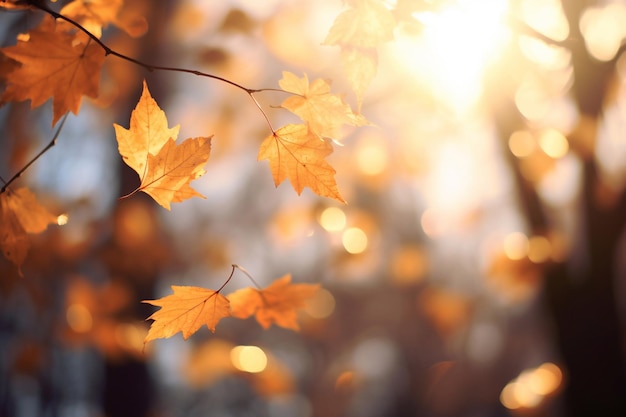 closeup of falling autumn leaves