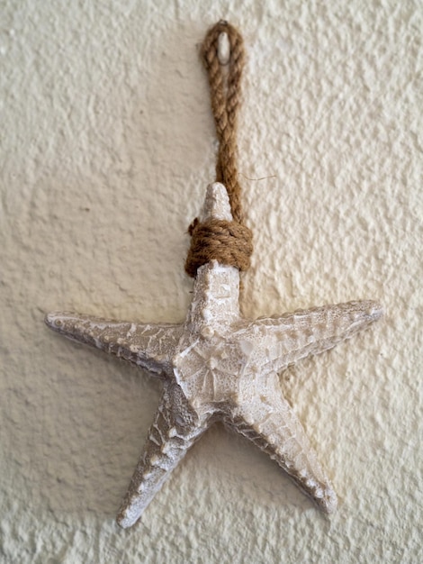 Photo closeup of a faux starfish decor hanging on the wall