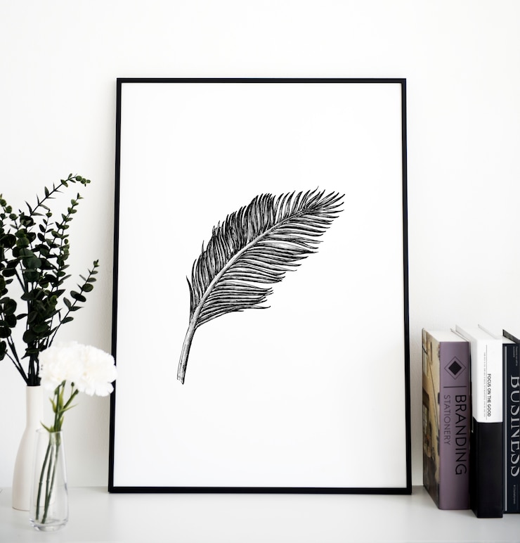 Photo closeup of feather photo frame