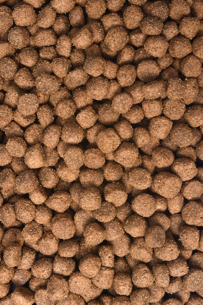 Closeup of feed of dog