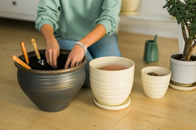 Photo closeup female gardener transplanting green plants in ceramic pots on the floor concept of home garden and potted plants