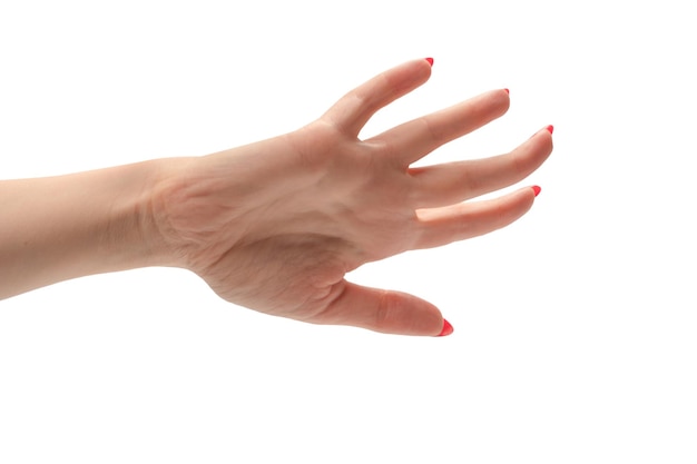 Photo closeup of female hand with pale skin and red nails pointing or touching isolated on a white background