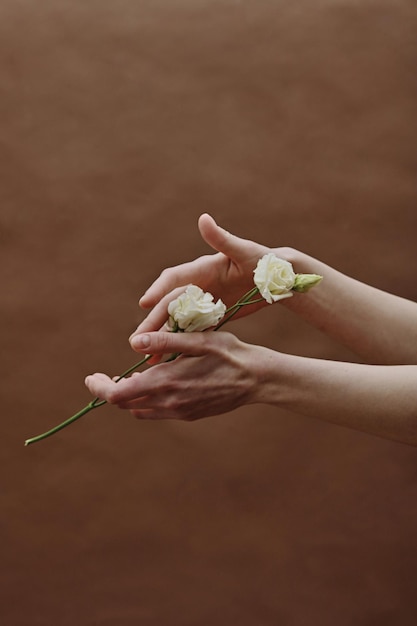 Closeup of female hands holding beautiful white flower against the brown background