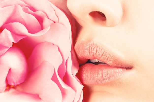 Photo closeup of female lips with pink flower closeup sexy female lip with red color lipstick women's lips and red flower sensual lips woman with rose flower closeup sexy female lips with pink lipstick