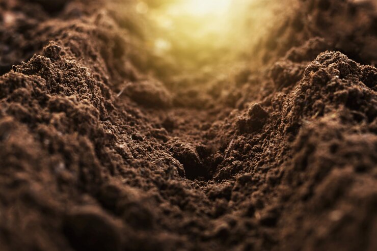 Photo closeup of fertile loam for the background
