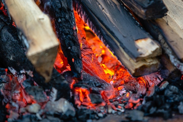 Closeup firewood hot coals and ash macro photography of
barbecue