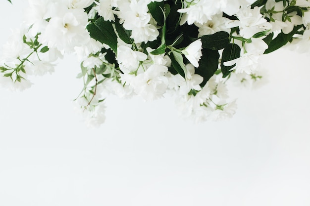 Closeup of flowers on white surface