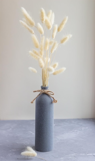 Closeup of fluffy lagurus dried flowers on a vase on the concrete table