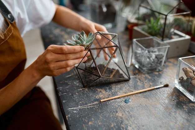 Closeup focus on female hand making plant decoration at workshop. Home gardening or craft work in florist shop concept