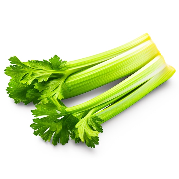 Closeup fresh celery