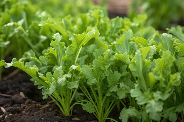 Closeup of fresh garden growth with individual leaves and stems visible created with generative ai