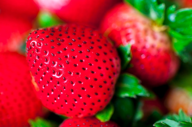 Closeup fresh juicy strawberry fruit