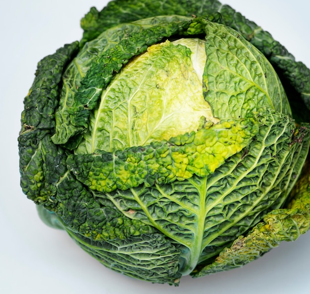 Closeup of fresh organic cabbage