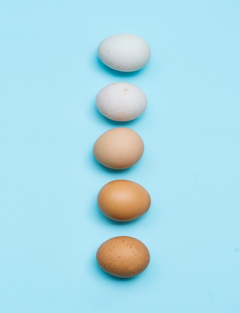 신선한 유기농 다양 한 계란의 근접 촬영