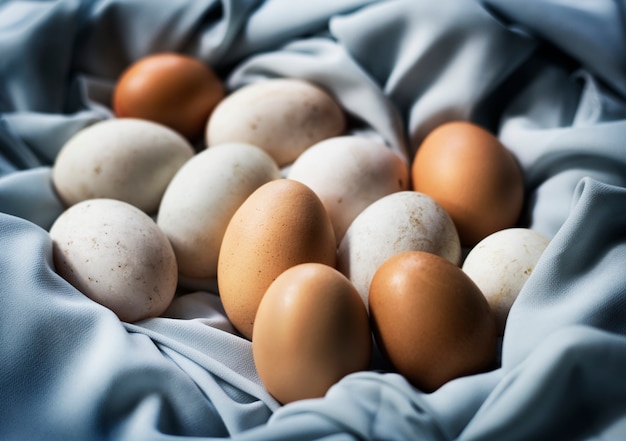 Closeup of fresh organic various eggs