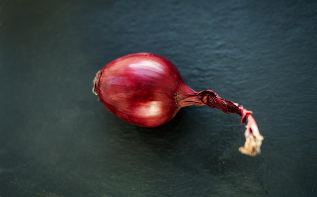 Closeup of fresh red onion on dark background