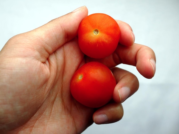 白い背景の上の手の指で新鮮な赤いトマトをクローズアップ、調理するための材料を準備する