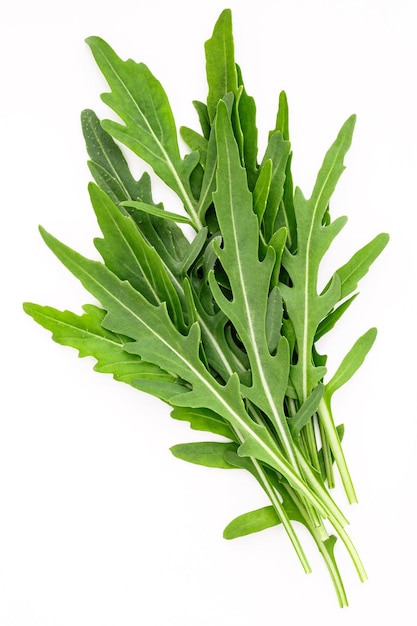 Closeup fresh wild rocket leaves on white background top view