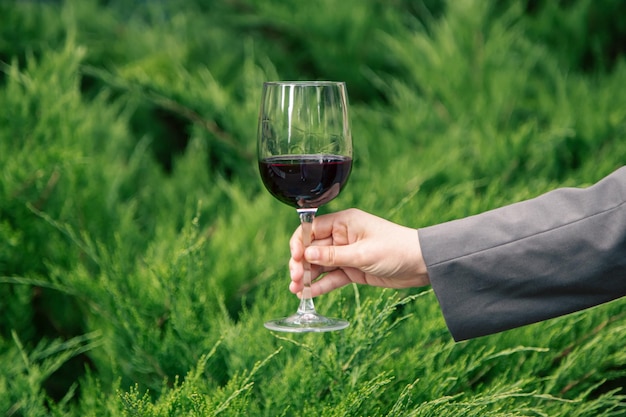 Closeup a glass of red wine against the background of green bushes