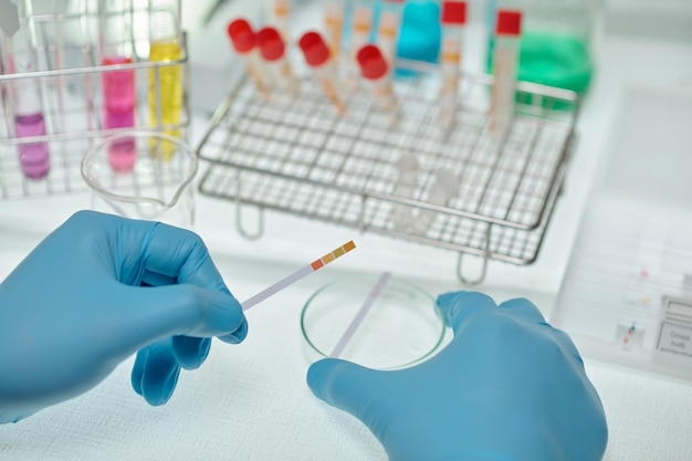 Closeup of gloved hands of chemist holding paper indicator of ph acid over petri dish while carrying