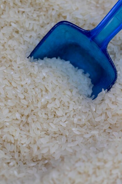 Closeup grains of rice Rice as background texture