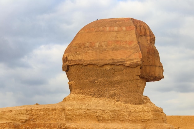 Closeup of Great Sphinx of Giza in Cairo Egypt