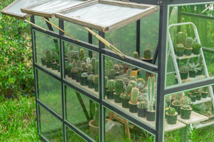 Photo サボテン保育園を植える家の庭で緑の家をクローズアップ。