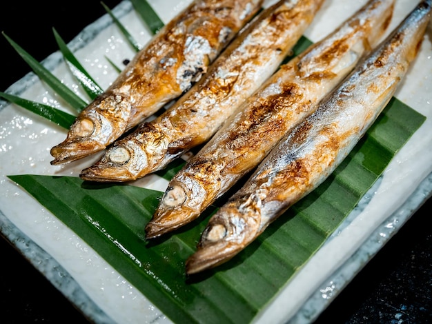 어두운 배경 맛있는 일본 음식 스타일에 흰색 사각형 접시에 바나나 잎에 근접 촬영 구운 시샤모 생선