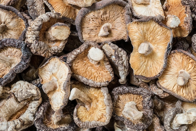 Closeup group of dried mushroom background