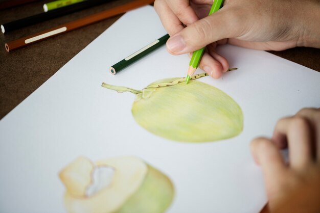 Closeup hand drawing art work of coconut