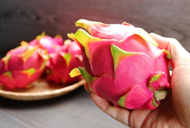 Closeup of Hand Holding a Fresh Ripe Dragon Fruit