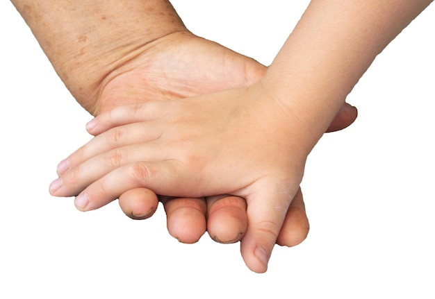 Closeup of the hands of an elderly woman and a small child isolated on a white background by clipping Soft focus image