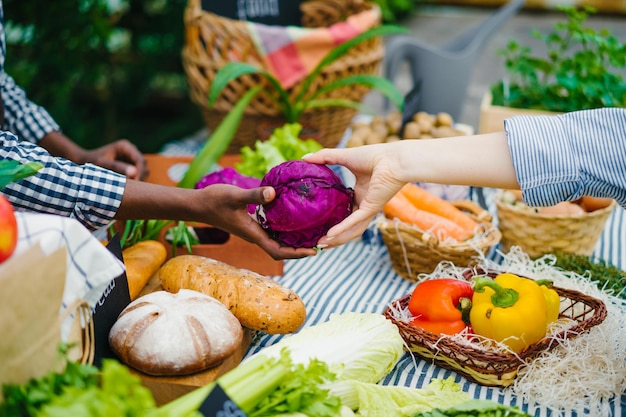 Closeup of hands taking cabbage from stall on autumn farm market