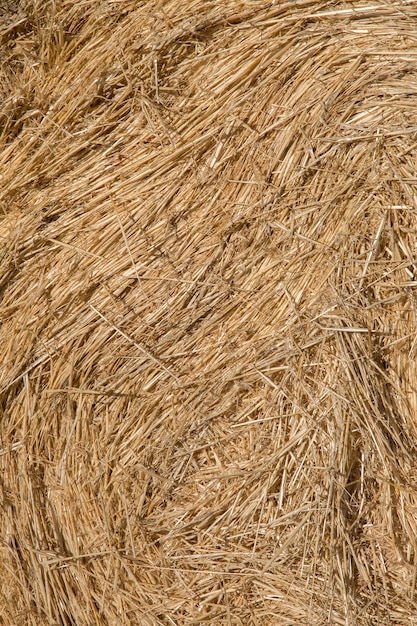 Closeup of Hay Barrel on Farm