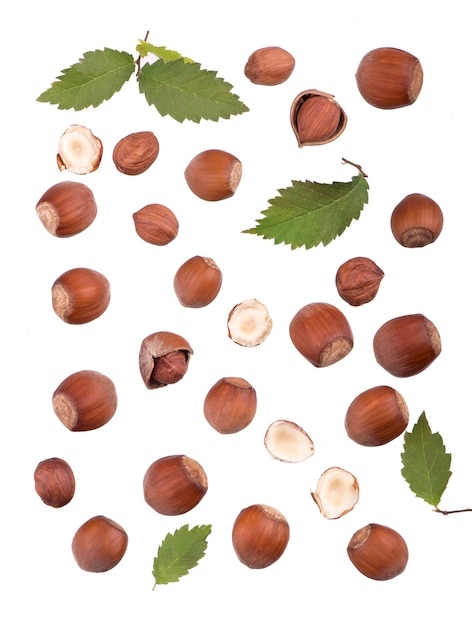 Closeup of hazelnuts