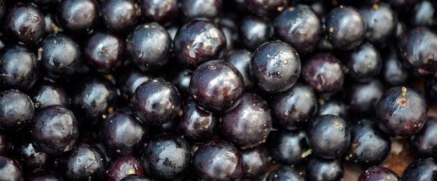 Closeup of heap of jabuticaba